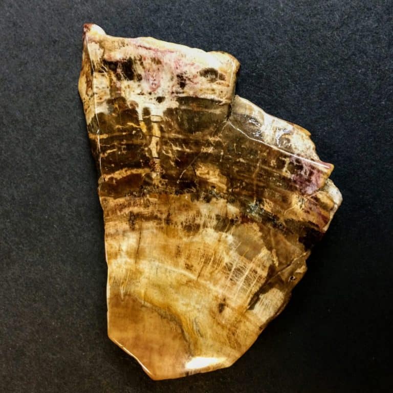 Petrified Wood Inspirit Crystals