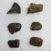Baltic Amber Pieces 1g-1.9g - Image 2