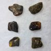 Baltic Amber Pieces 1g-1.9g