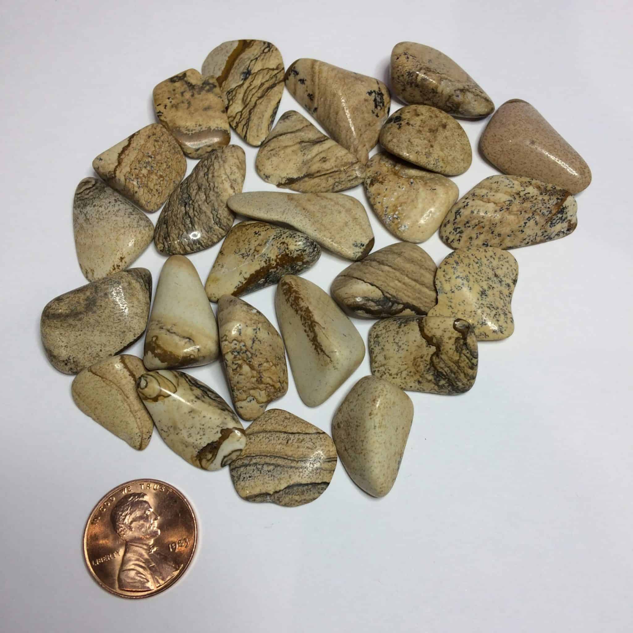 Tumbled Picture Jasper Specimen Inspirit Crystals