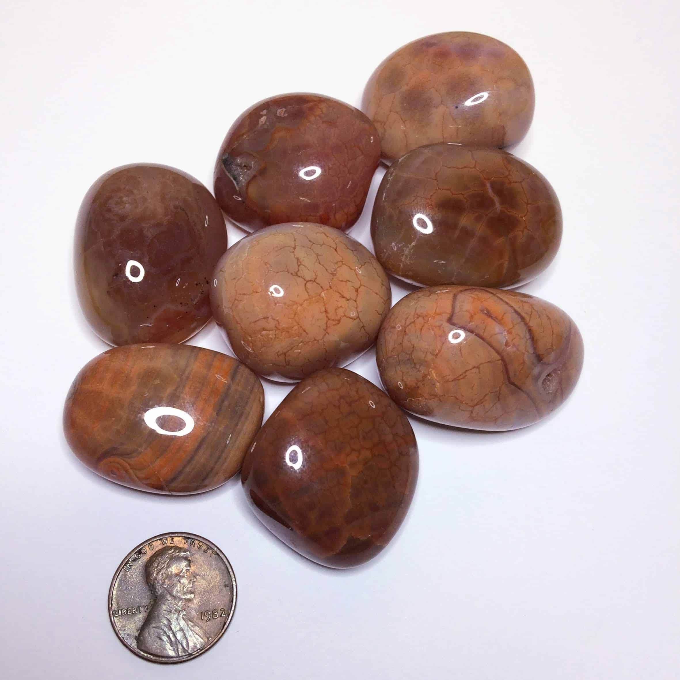 Tumbled Snakeskin Agate Specimen Inspirit Crystals