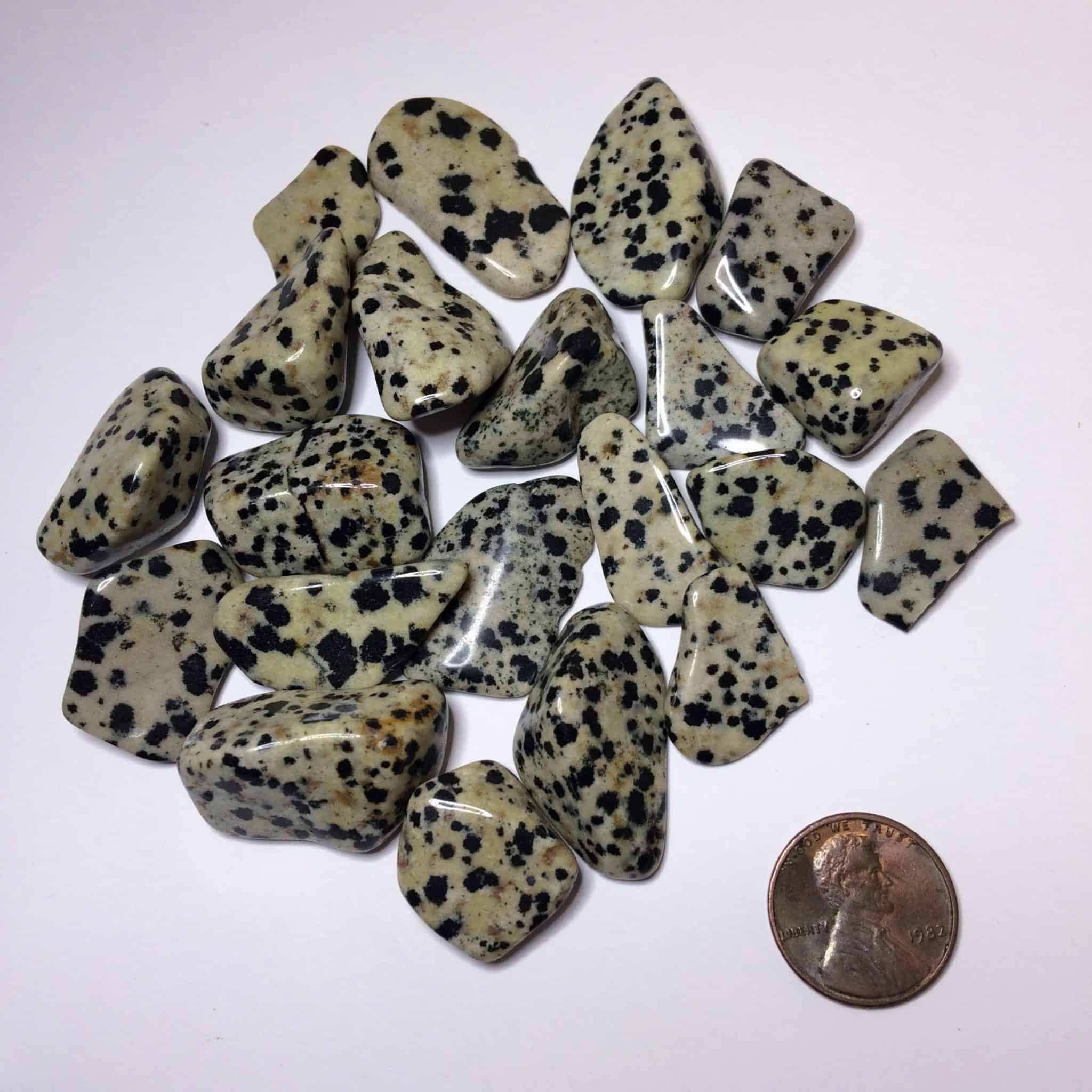 green dalmatian jasper