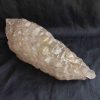 10" Smoky Elestial Quartz Specimen 5lb 10oz - Image 2
