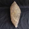 10" Smoky Elestial Quartz Specimen 5lb 10oz - Image 6