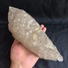 10" Smoky Elestial Quartz Specimen 5lb 10oz - Image 15