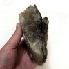 5" Smoky Elestial Quartz Specimen 1.08kg - Image 7