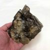 5" Smoky Elestial Quartz Specimen 1.08kg - Image 2