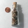 Petrified Wood Gemstone Chip Bottle