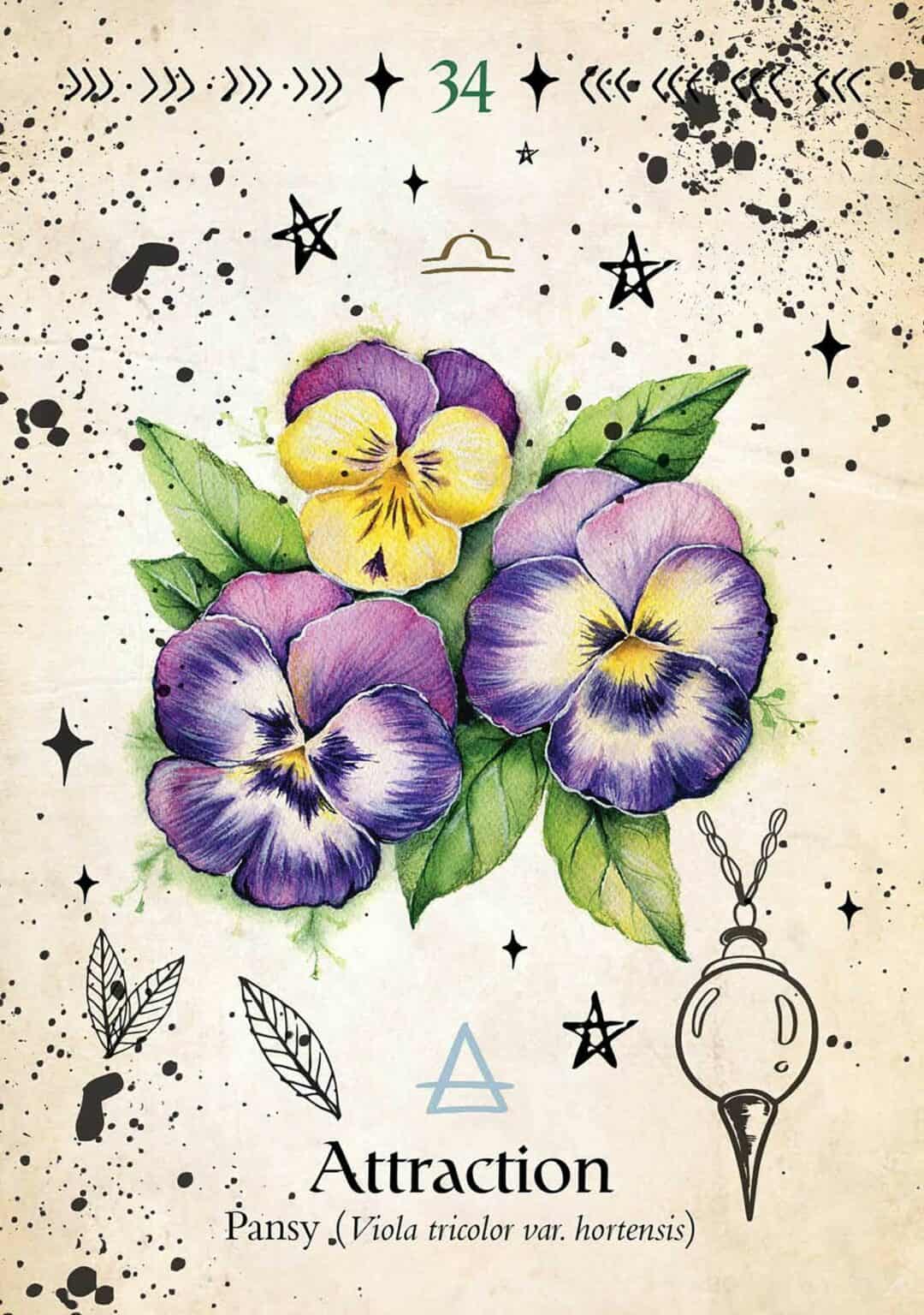 Green Witch Oracle Cards Discover Real Secrets Of Botanical Magick 