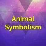 Animal Symbolism