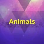 Animals