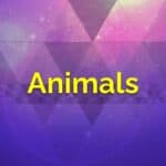 Animals