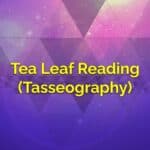 Tea Leaf Reading / Tasseography
